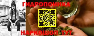 гидропоника Пыть-Ях