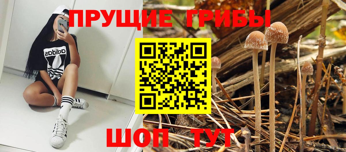Псилоцибиновые грибы Psilocybine cubensis  Вход с VPN  Сертолово 